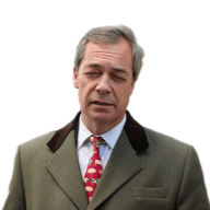 www.thebrexitparty.com